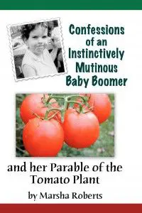 Tomato Plant