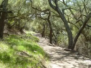 As Mother’s Day Approaches, Linda Ballou Recalls Her Recent Visit To “Mom’s Meadow” – And Delivering The Fruitcake &Raquo; N. Pond Oak Forest 300X225 1