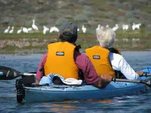 Linda Ballou Shares Why Winter Is A Perfect Time To Enjoy A “Wild Time” On The Central Coast Of California &Raquo; Pat Jim Pelicans 1 300X225 1
