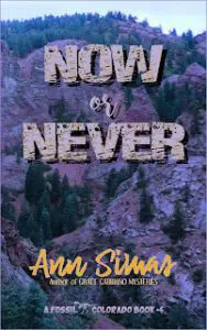 An Interview With Ann Simas, Author Of Now Or Never &Raquo; Ann Simas Now Or Never Digi Cover 5 23 22