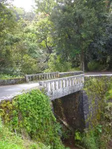 Heading To Hawai’i? Linda Ballou Shares How To Do Maui’s Hana Highway Her Way &Raquo; Bridge On Hana Hiway Linda Ballou 225X300 1