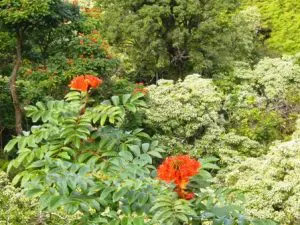 Heading To Hawai’i? Linda Ballou Shares How To Do Maui’s Hana Highway Her Way &Raquo; Garden Of Eden Linda Ballou 300X225 1