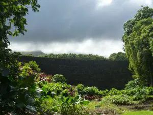 Heading To Hawai’i? Linda Ballou Shares How To Do Maui’s Hana Highway Her Way &Raquo; Piilani Heaui Linda Ballou 300X225 1