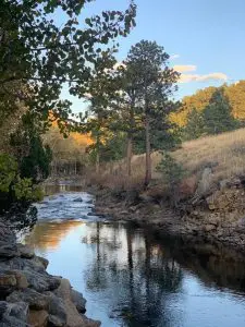 Linda Ballou Shares Her Interview On The Rocky Mountain Channel – And Eye Candy For Nature Lovers &Raquo; Fall Color With Thompson River Brett Wilson 225X300 1