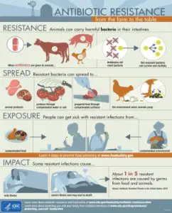 What’s Antibiotic Resistance And What You Can Do About It &Raquo; 6A00E550081576883402Af148E4039200C 320Wi