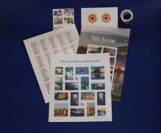 Stamps Horizontal Img_6486