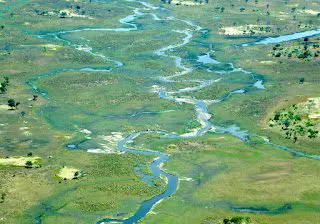 Chobe National Park, Botswana - A Safari Day Trip &Raquo; Botswanadeltax
