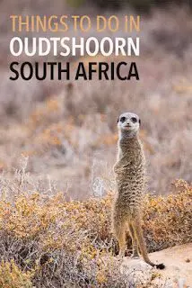 Oudtshoorn &Amp; Cango Caves, South Africa &Raquo; Oudtshoorn South Africa Pinterest 467X700 1