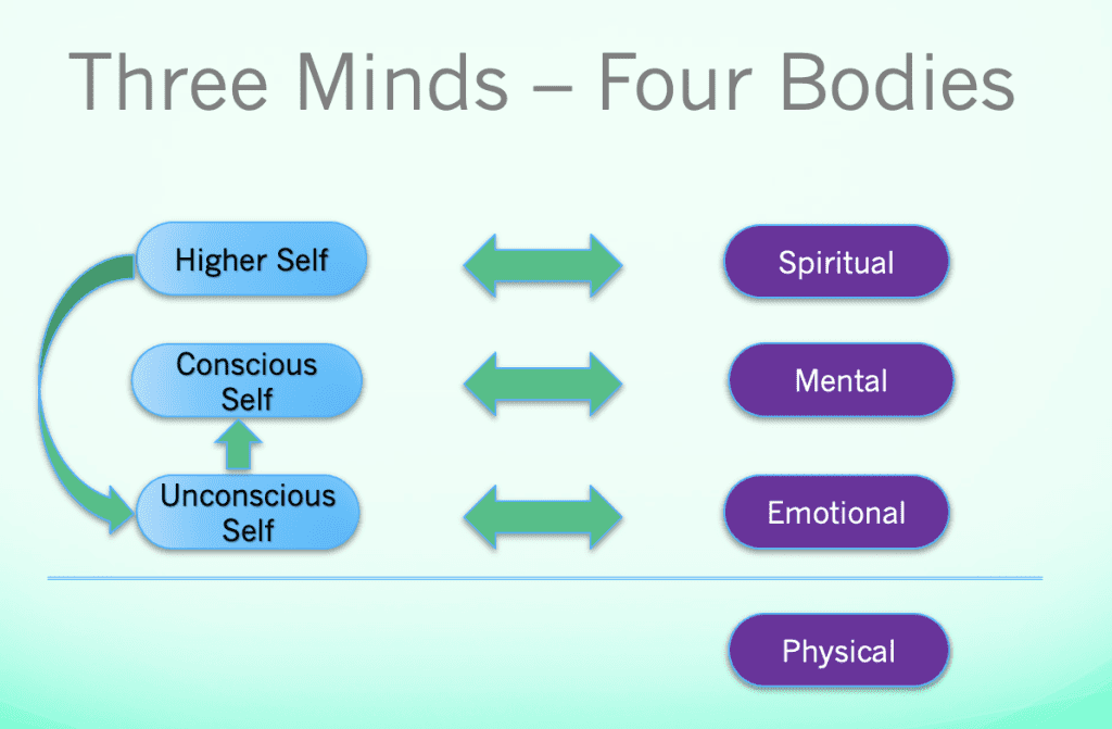 4 Bodies - 3 Minds