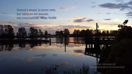 Building Connection Through The Power Of Music &Raquo; Mary Webb Quote 1024X576 1