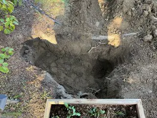 Hole Dug On 3-16-23 Img_1939
