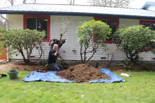 Hole Being Dug By Justin By House Img_7090