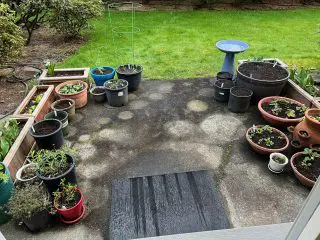 Patio Img_2120