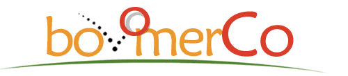 Sponsor 2