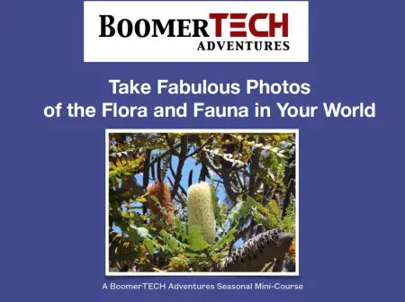 Take Fabulous Photos Of The Flora &Amp; Fauna In Your World &Raquo; Fabphotos