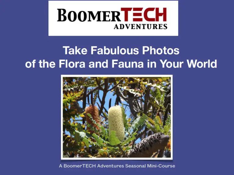 Take Fabulous Photos Of The Flora &Amp; Fauna In Your World