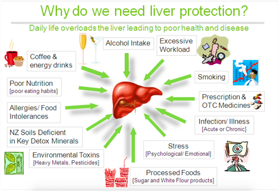 Why Do We Need Liver Protection