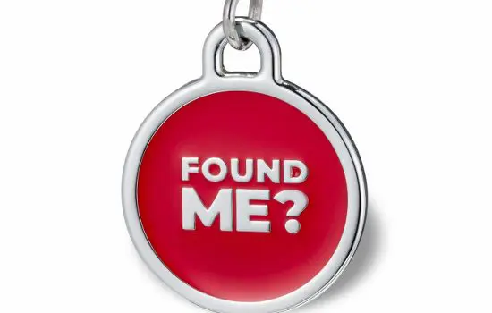 Caring For Our Furry Friends: The Importance Of Emergency Vet, Vet Care, And Pet Tags &Raquo; 0005