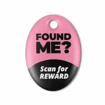 The Lost And Found Box: The Students’ Bermuda Triangle 5 The Lost And Found Box: The Students’ Bermuda Triangle &Raquo;