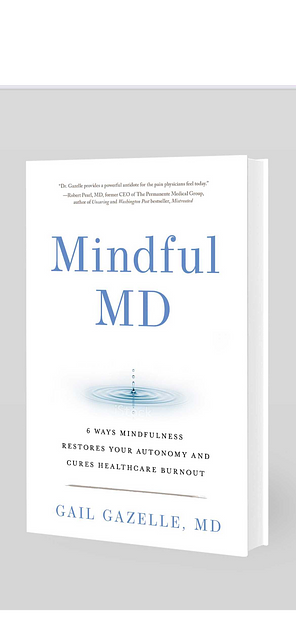 Physician'S Compass: Pragmatic Mindfulness For Authentic Well-Being With Dr. Gail Gazelle, Md &Raquo; Bookcoverforgailgazelle2023Draft