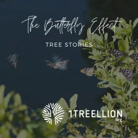 Episode 81/ The Butterfly Story Of Economics, Nature, And Web3 Hosting Or Katzman &Raquo; 6396890 1592333825697 5Ff4427425671