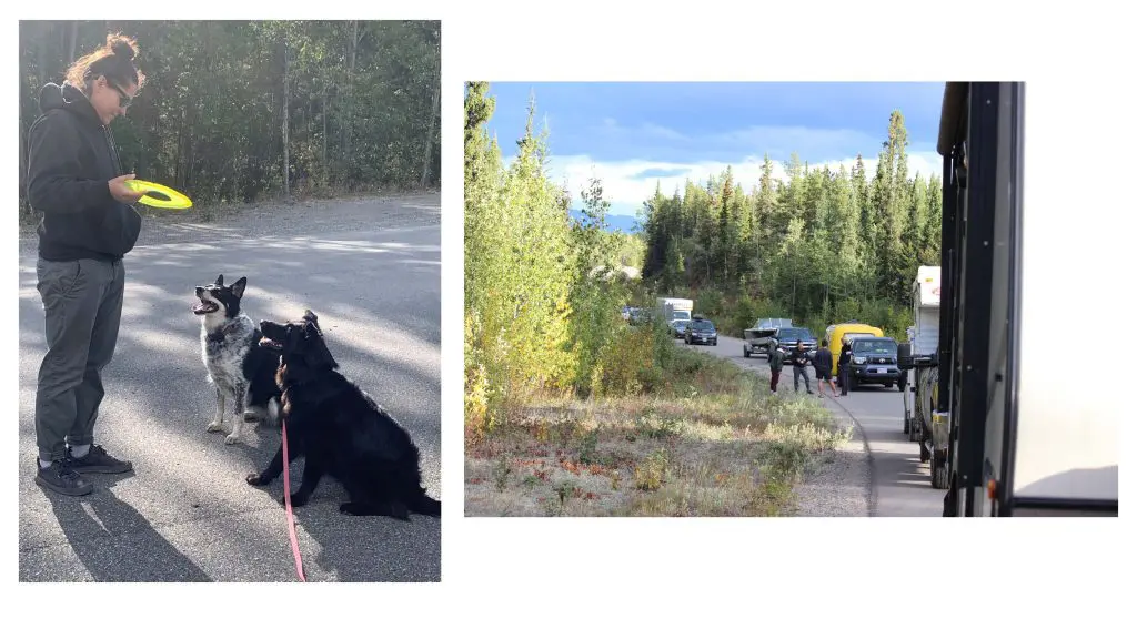 Celebrating The Gifts Of Downtime &Raquo; 2023Sep02 Waiting On The Road 1024X576 1