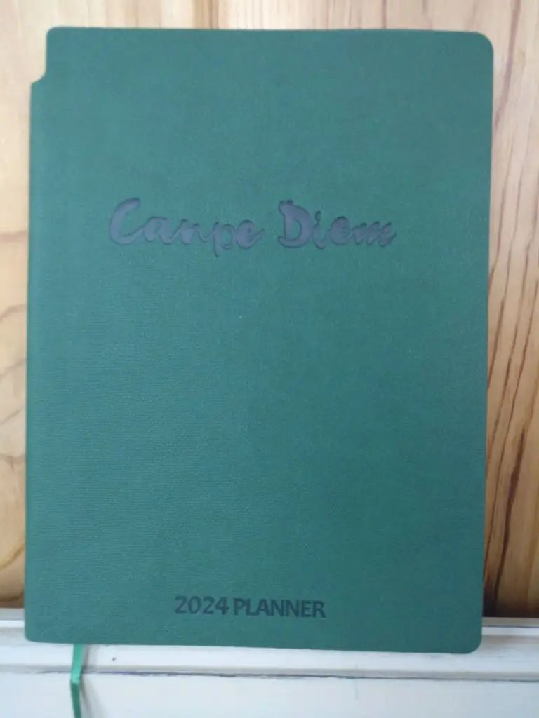 Carpe Diem: Seize The Day &Raquo; Img 20231229 090512