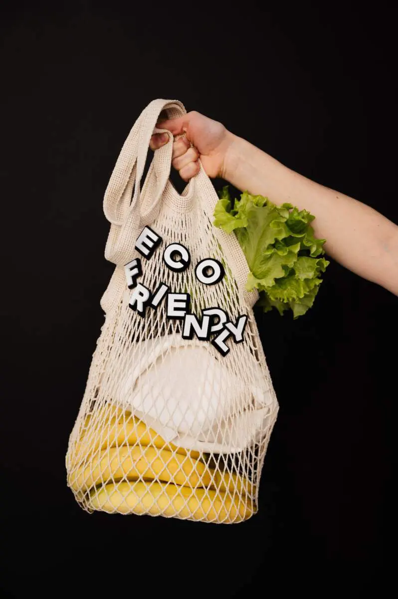 Eco Friendly
