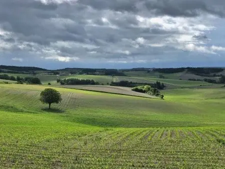 Exploring The Treasures Of France’s Dordogne Region: A Journey Through History, Culture, And Natural Beauty &Raquo; Landscape With Lone Tree Dordogne France Copyright 2019 Ralph Velasco 1024X768 1