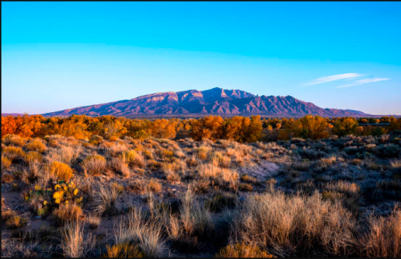 New Mexico: 5 Reasons It Might Not Be Your Dream Destination &Raquo; New Mexico1