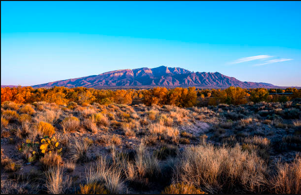 New-Mexico-5-Reasons-It-Might-Not-Be-Your-Dream-Destination