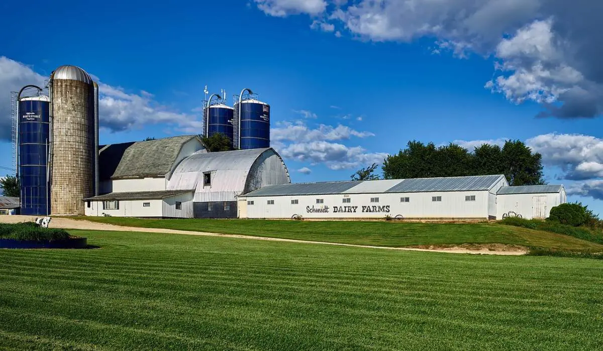 Dairy Farm Factory