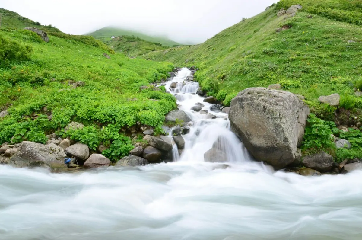 Water Stream Between Grass Fields