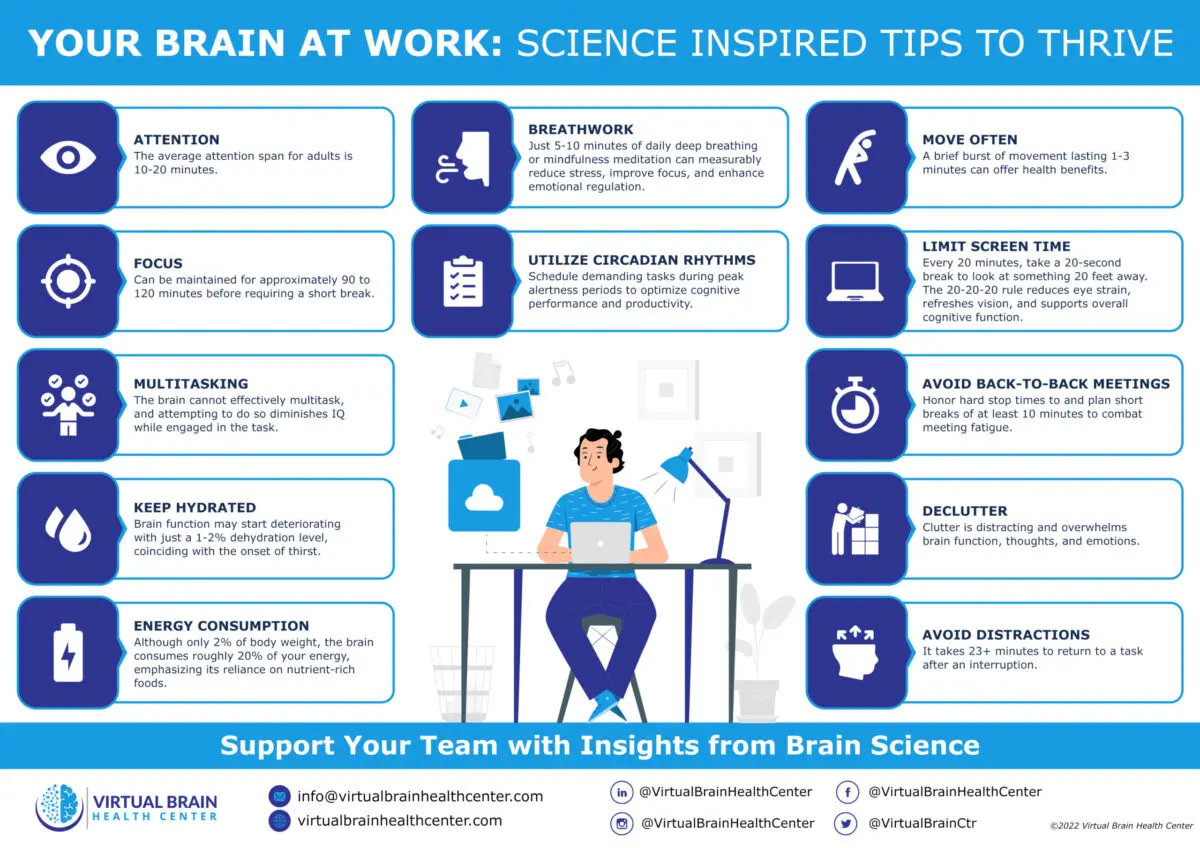 Brain At Work &Raquo; Brain At Work Inforgraphic 1 Scaled 1 Scaled