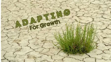 Adapting Your Business Strategy: Key To Sustainable Growth And Success &Raquo; File 1 5
