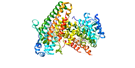 What Links Aging And Disease? A Growing Body Of Research Says It’s A Faulty Metabolism &Raquo; File 20240821 16 Z9Yg64