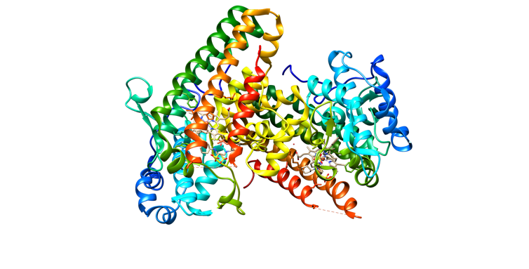 Illustration Of Structure Of Ido1