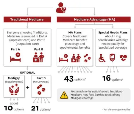 Decisions, Decisions: How To Navigate All The Choices On Medicare And Medicare Advantage &Raquo; File 20241008 19 Kh3Xiv