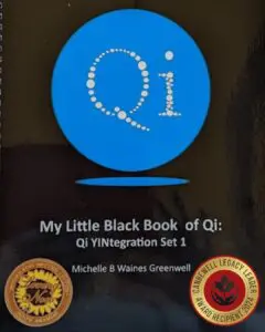 Book Cover With A Big Circle And Qi On The Inside. 