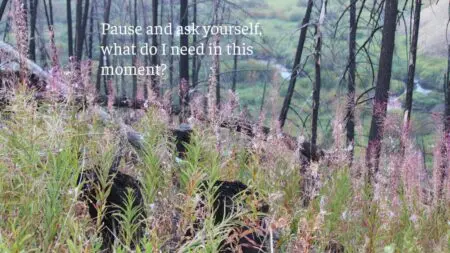 Taking Time To Just Be &Raquo; Pause And Ask Yourself Turkey Gulch 1024X576 1
