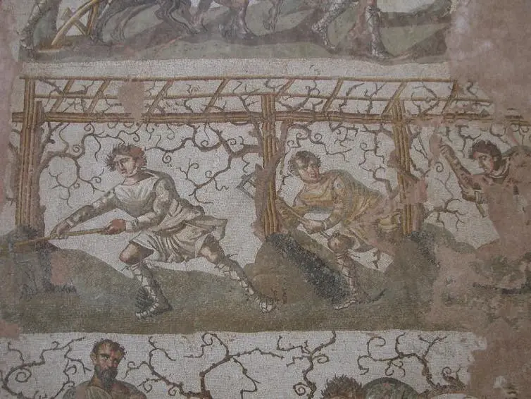 A Mosaic Showing People Picking Grapes.