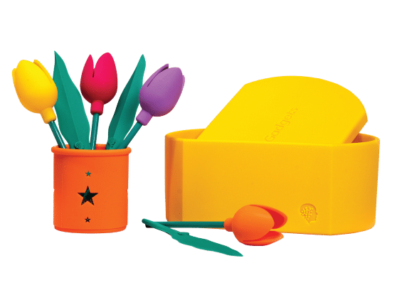 Geri-Gadgets: An Innovative Product To Promote Cognitive Stimulation &Raquo; Geri Floral
