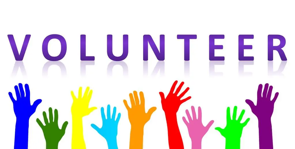 Leadership Excellence Is Critical For Business Growth &Raquo; Tumisu Volunteer 2055043 1280 1024X517 1
