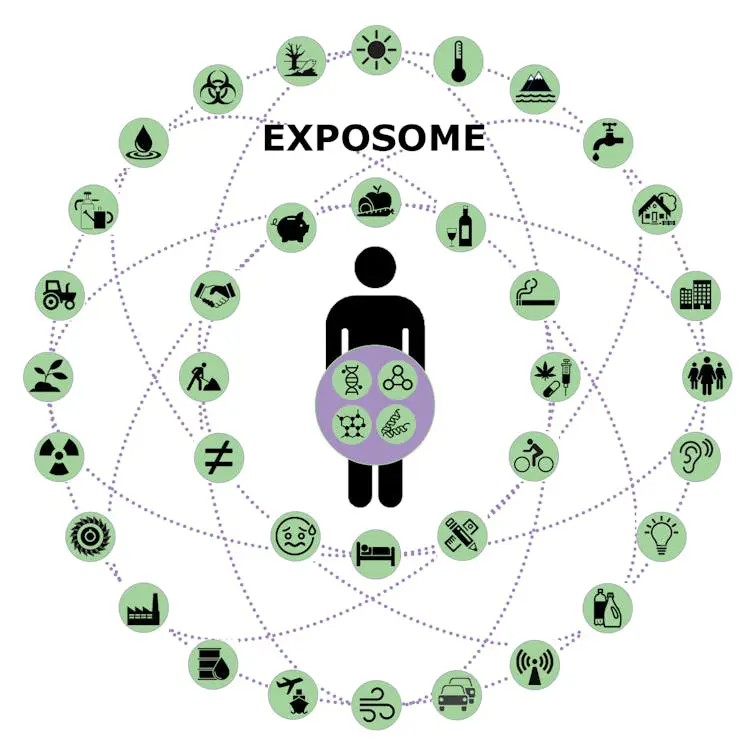 Diagram Of A Person Surrounded By Icons Of The Various Environmental Exposures That Make Up The Exposome