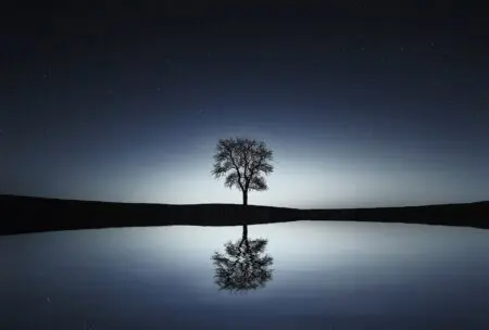 Trying To Find Your Calm &Raquo; File 7 8