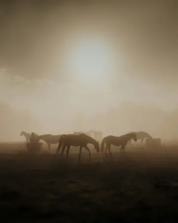The Four Horsemen Of Leaving A Job &Raquo; Photo 1598362042346 70C59713811Fcropentropycstinysrgbfitmaxfmjpgixidm3Wzmdazmzh8Mhwxfhnlyxjjahwynxx8Ag9Yc2V8Zw58Mhx8Fhwxnzqwntc5Mzqyfdaixlibrb 4 0