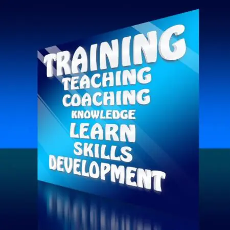 How To Improve The Training Process In Your Business &Raquo; Geralt Training Skills 1248059 1280 1024X1024 1