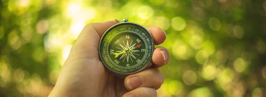 Compass In Hand