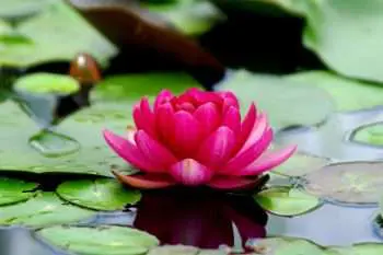 Meaningful May – Be A Part Of Something Bigger &Raquo; Meaningful May 350X233 1