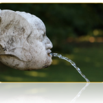 More Than Two Sides To Fluoride